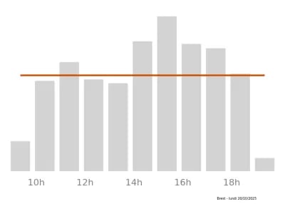 Voir le trafic sur Google maps https://maps.google.com/maps?cid=13680019285438740588