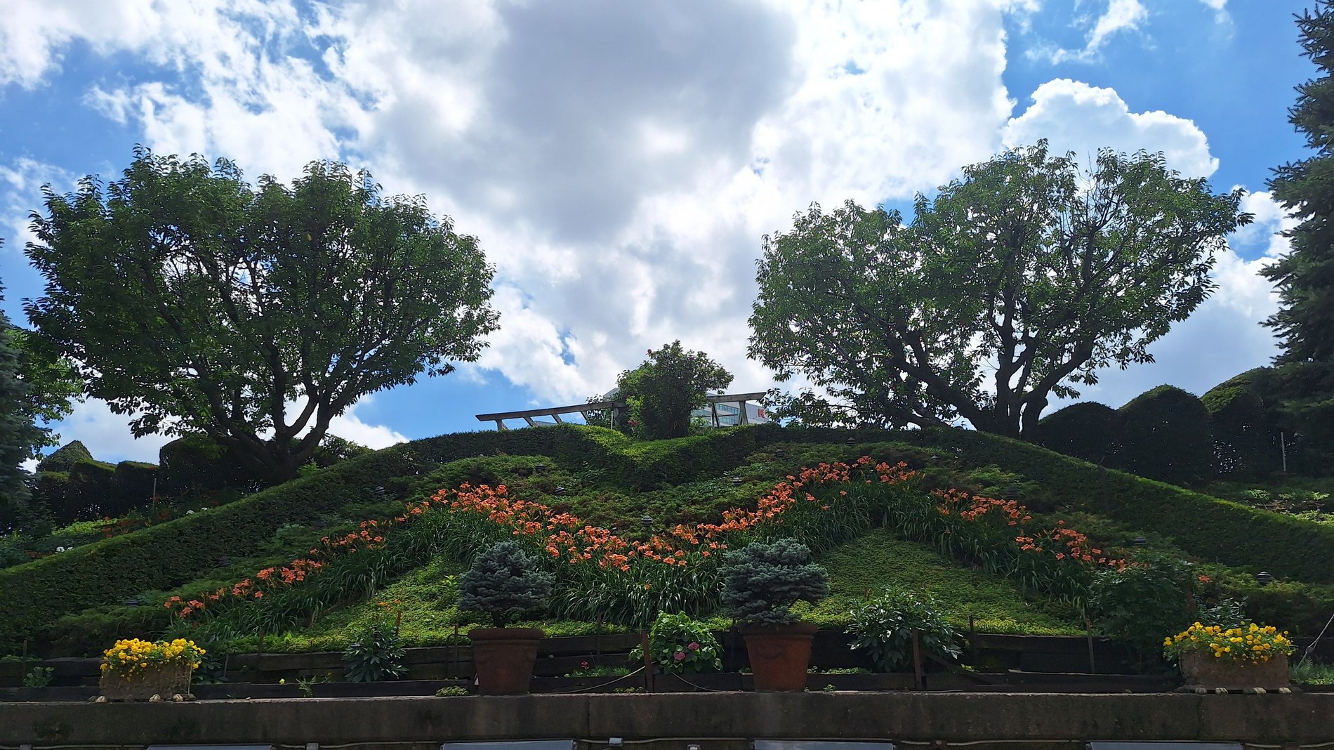 Courtyard View