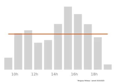 Voir le trafic sur Google maps https://maps.google.com/maps?cid=10522333501015324469