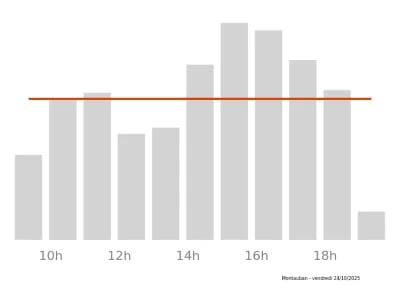 Voir le trafic sur Google maps https://maps.google.com/maps?cid=10445362675001712894