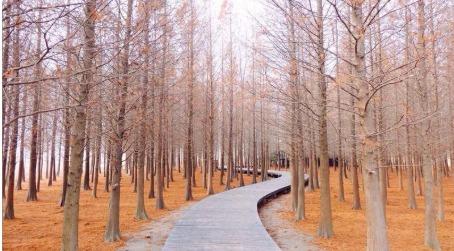 Hero Background Image