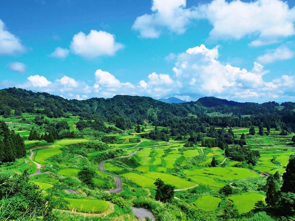 日本三大薬湯の一つ、秘境の松之山温泉【新潟県】 | JTBリモートコンシェルジュ トラベルコンサルタントのおすすめ旅