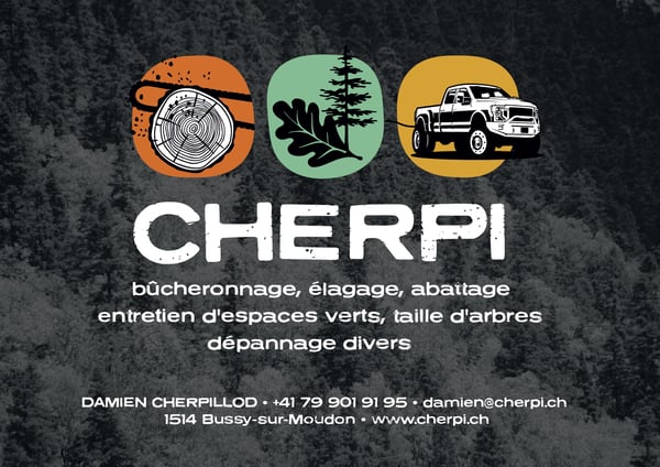 Cherpi - Damien Cherpillod