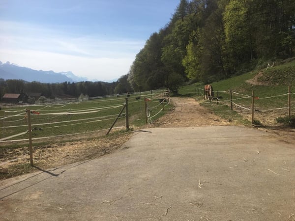 Douceur d'Ebène - Granges (Veveyse) - Domaine