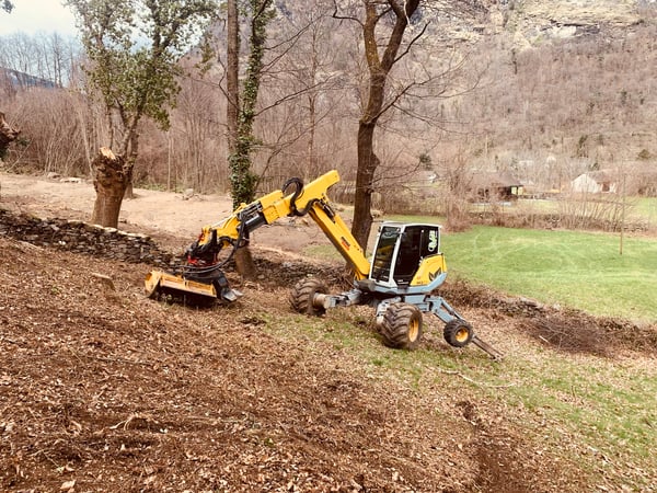 Lavori forestali