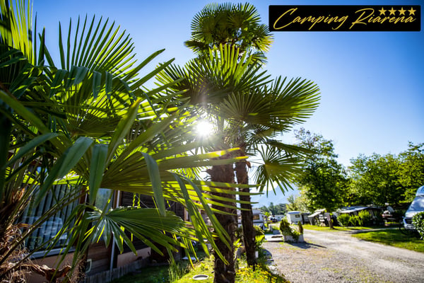 Sonnengenuss pur! Sonne, Palmen und Camping Riarena, der perfekte Urlaub!