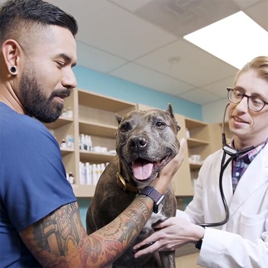 Vet Hospital Greater Heights | Petco