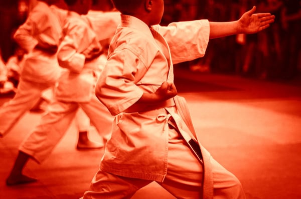 Taketomikai - Arti marziali Mendrisio: Corsi di arti marziali per tutti!