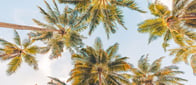Hero Background Image