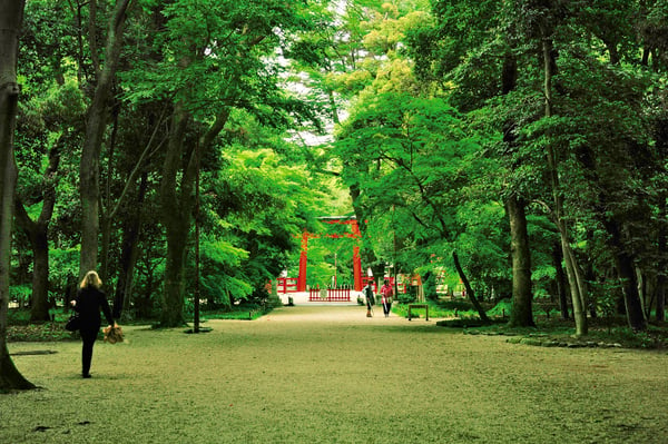 京都の四季の風情やお祭りに心弾んだ学生時代【京都府】 | JTBスタッフのおすすめ旅記事&ブログ