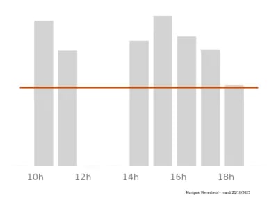 Voir le trafic sur Google maps https://maps.google.com/maps?cid=11960648980829759976