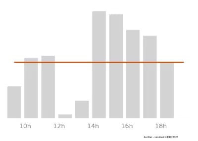 Voir le trafic sur Google maps https://maps.google.com/maps?cid=17051437042338694048