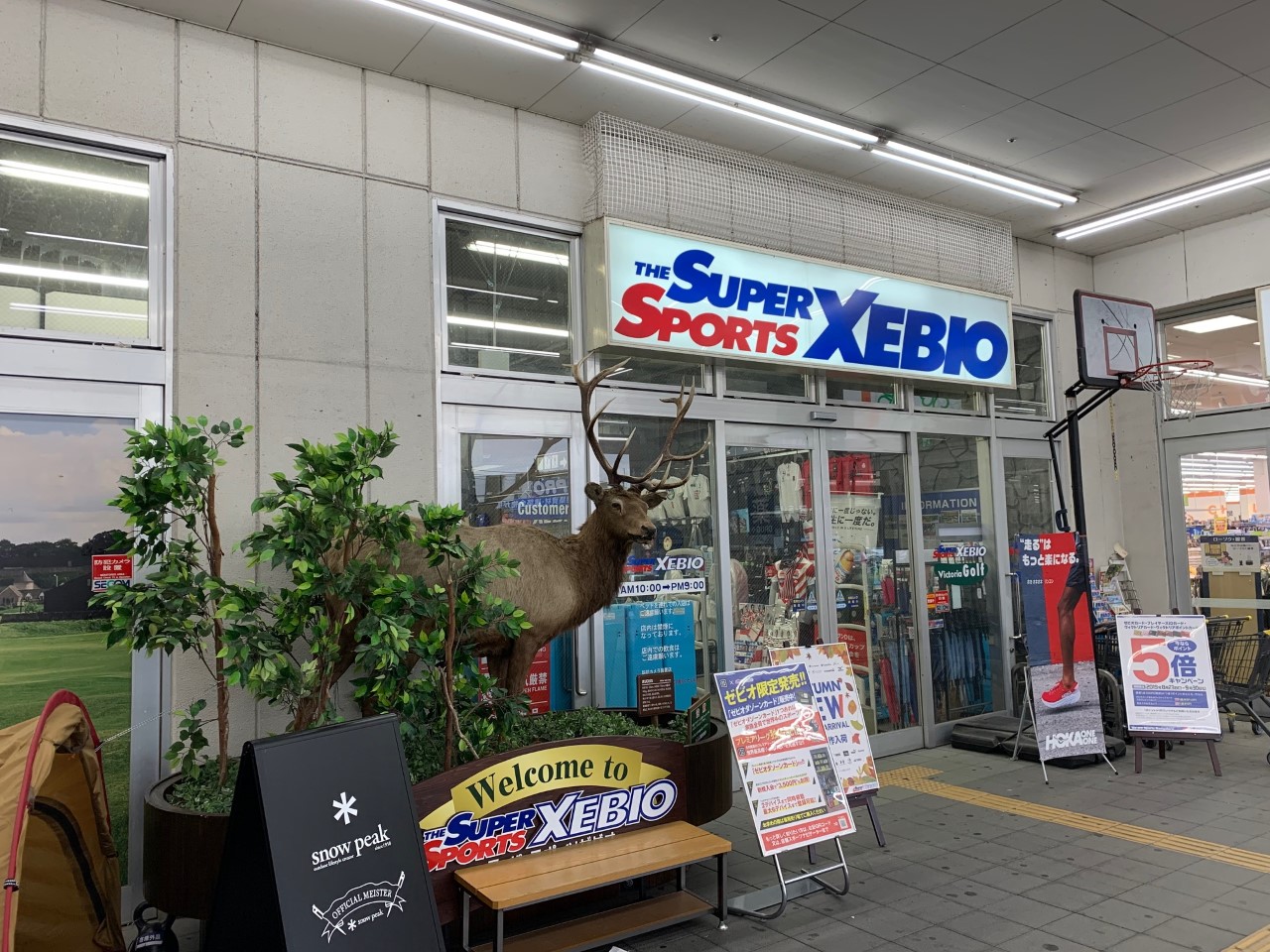 スーパースポーツゼビオ 東大阪菱江店 大阪府 東大阪市 Super Sports Xebio スーパースポーツゼビオ ゼビオスポーツ オフィシャルサイト