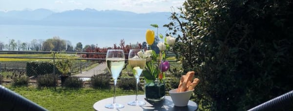 Terrasse jardin