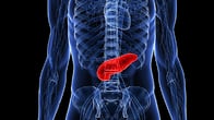 image of pancreas