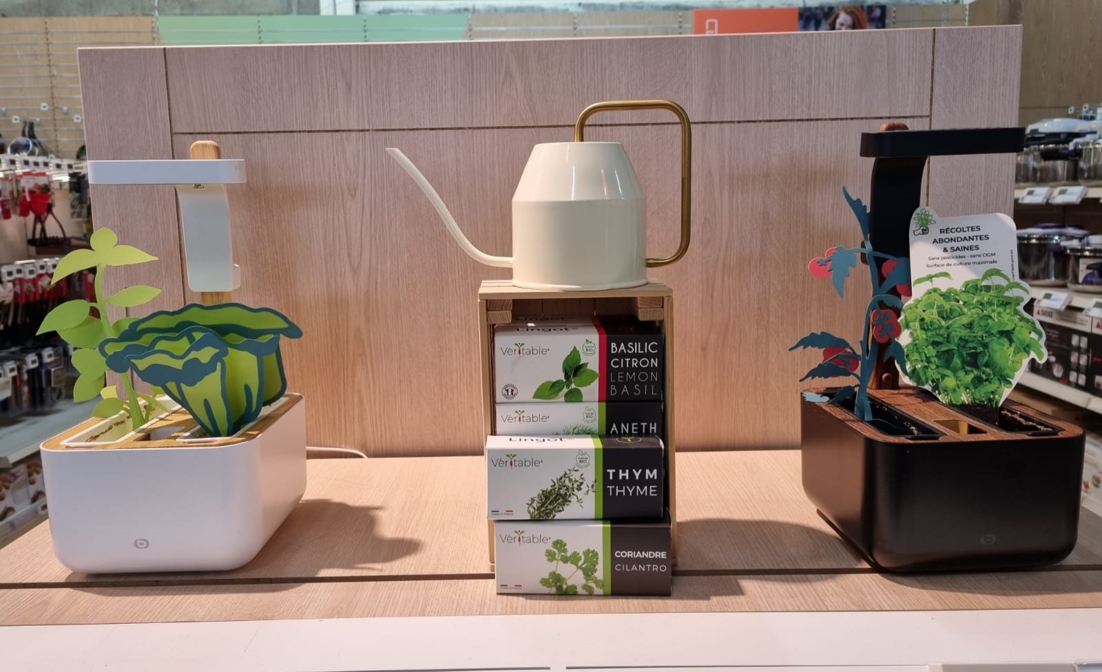 Jardins d'intérieur du magasin Boulanger Toulouse Saint-Orens de Gameville spécialisé dans l'électroménager et le multimédia