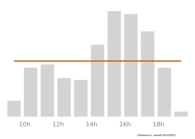 Voir le trafic sur Google maps https://maps.google.com/maps?cid=12156975599620030949