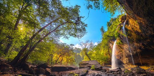 Hero Background Image