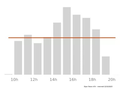 Voir le trafic sur Google maps https://maps.google.com/maps?cid=2901735602767065375