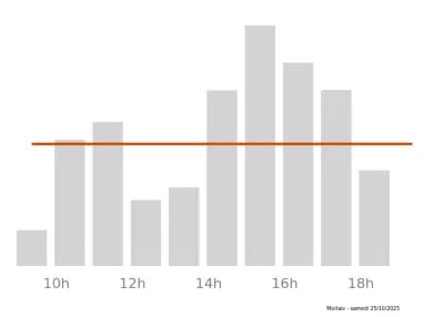 Voir le trafic sur Google maps https://maps.google.com/maps?cid=14335346544995821241
