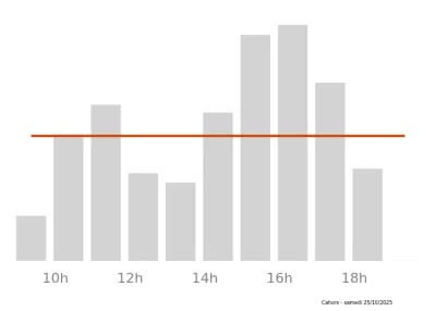 Voir le trafic sur Google maps https://maps.google.com/maps?cid=4985725641138975715