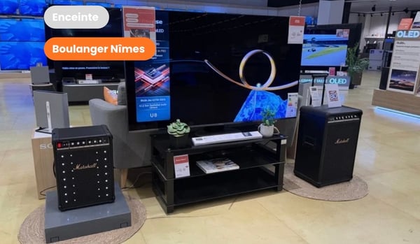 enceinte, marshall, son, design