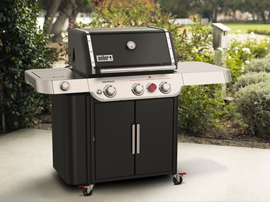 Boulanger Toulouse Fenouillet Barbecue Gaz Weber Genesis