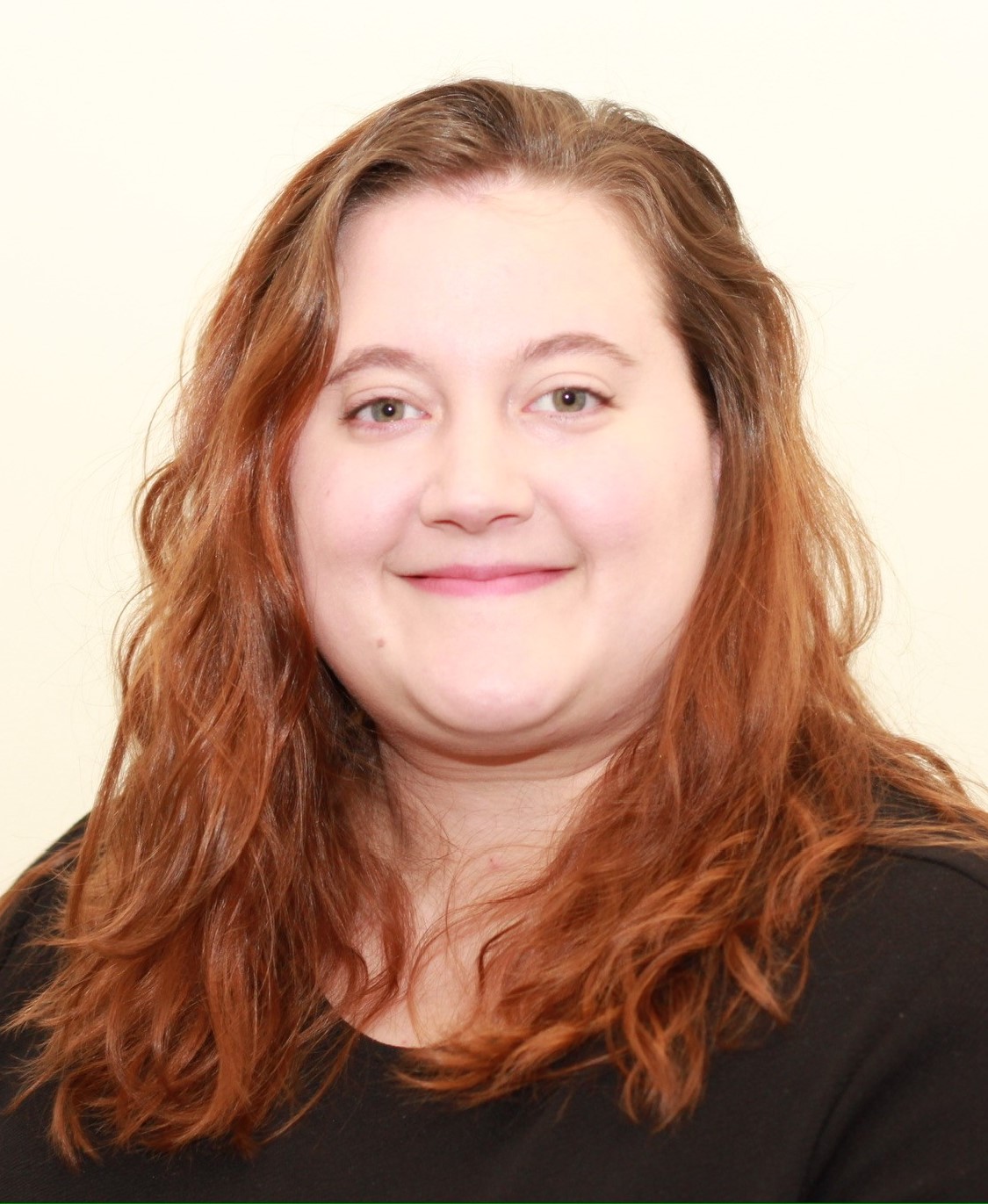 Tracy McKenica Besenyodi Allstate Car Insurance Agent in Fairlawn, OH