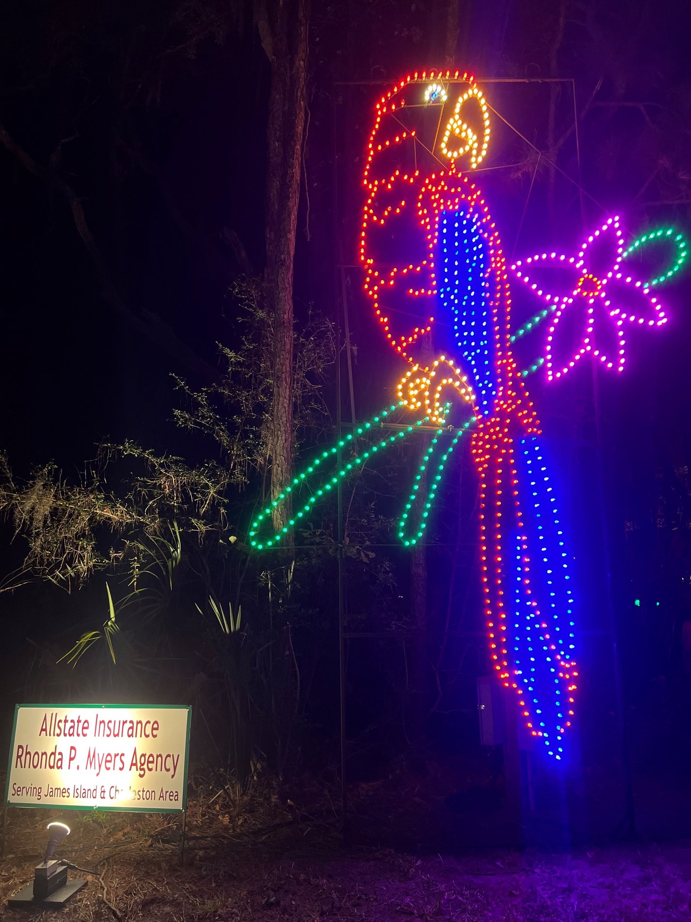 James Island Holiday Festival of Lights display