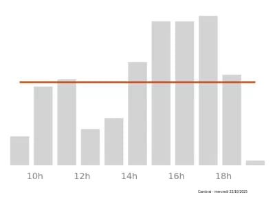 Voir le trafic sur Google maps https://maps.google.com/maps?cid=9392866299927381403