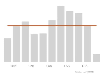 Voir le trafic sur Google maps https://maps.google.com/maps?cid=10445362675001712894