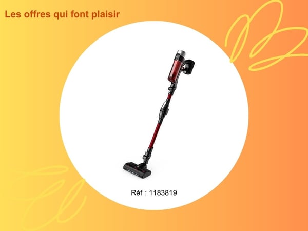 Aspirateur balai ROWENTA X Force Flex 9.60 Kit Animal RH2079WOchez Boulanger La Valentine.