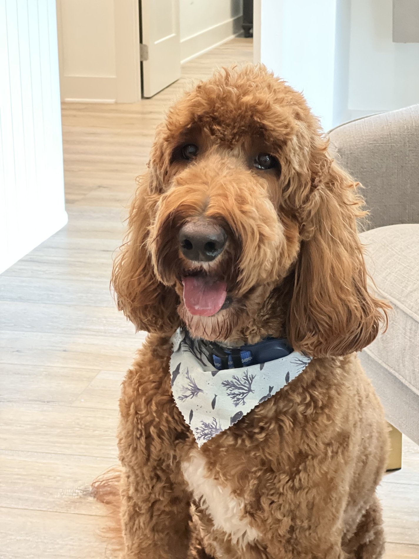 Nick Plaisance Allstate Car Insurance Agent in Lafayette, LA