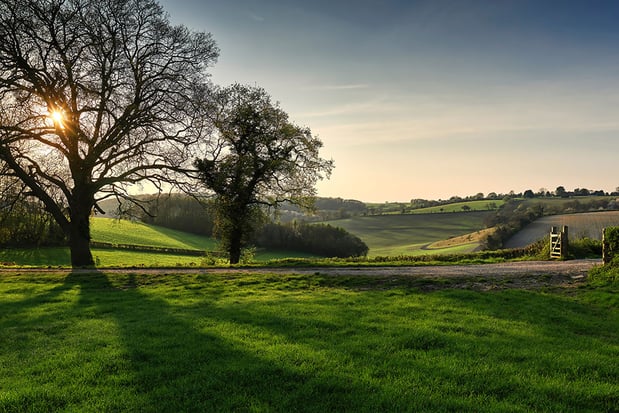 E.H. Crouch Funeral Directors, Here for your Family