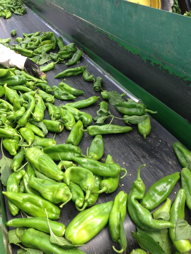 JewelOsco at 885 E Belvidere Rd Grayslake, IL Weekly Ad, Grocery