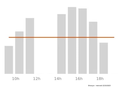 Voir le trafic sur Google maps https://maps.google.com/maps?cid=13690335147999747680