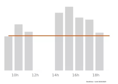 Voir le trafic sur Google maps https://maps.google.com/maps?cid=18232078633106830905