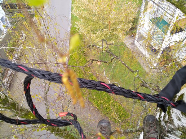 Einbauen und spleissen von Hohltauen für die Kronensicherung