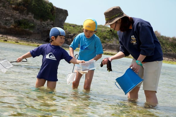 干潮時の浅瀬でガイドと一緒にマリン観察