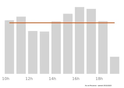 Voir le trafic sur Google maps https://maps.google.com/maps?cid=10582977744117834417