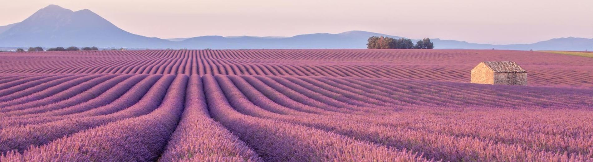 Hero Background Image