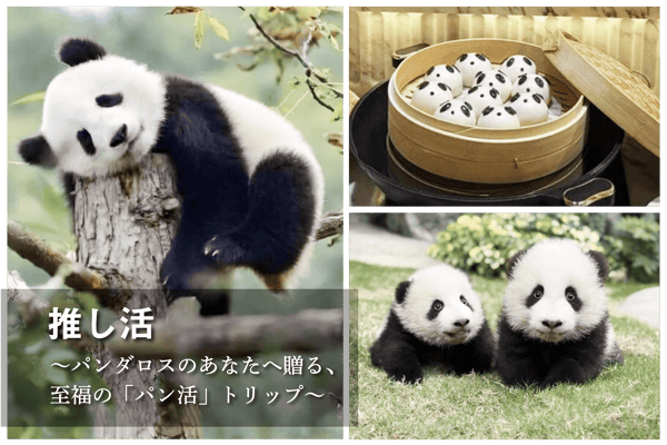 推し活 ～パンダロスのあなたへ贈る、至福の「パン活」トリップ～