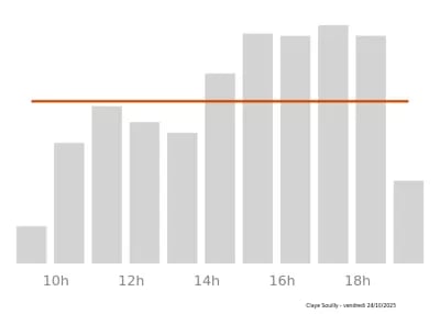 Voir le trafic sur Google maps https://maps.google.com/maps?cid=15654530991560747099
