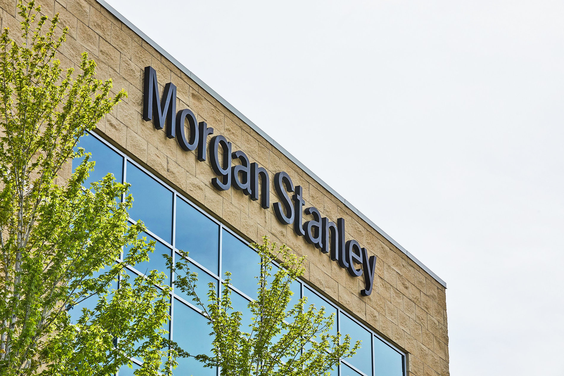 Photo of The Calderara, Cook, Travaglini Group - Morgan Stanley