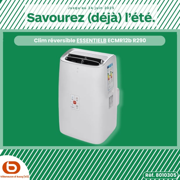 Clim réversible ESSENTIELB ECMR12b R290