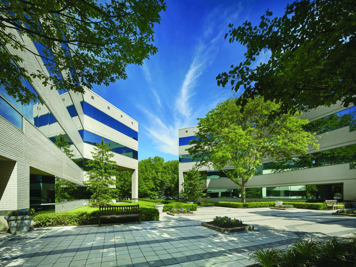 Hero Background Image