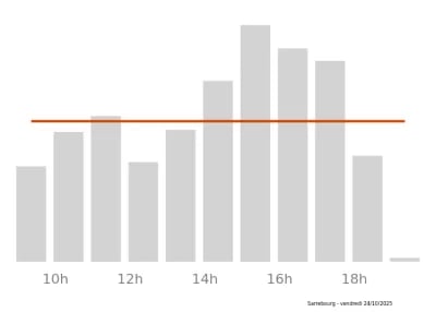Voir le trafic sur Google maps https://maps.google.com/maps?cid=12338588797686544230