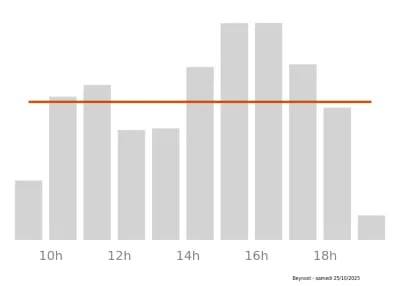 Voir le trafic sur Google maps https://maps.google.com/maps?cid=402439968241742542