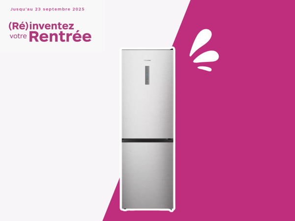 Réfrigérateur combiné Hisense RB390N4BCC