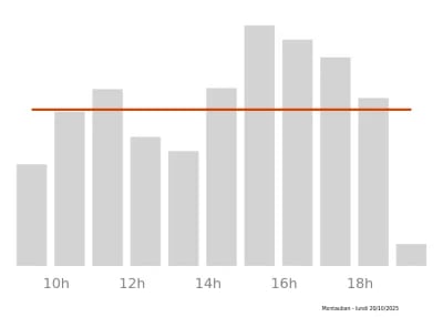 Voir le trafic sur Google maps https://maps.google.com/maps?cid=10445362675001712894